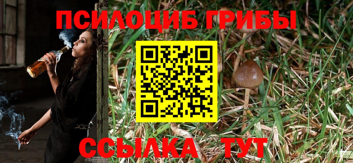 Галлюциногенные грибы Cubensis Кемерово